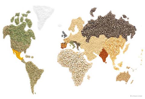 Chalice illustration